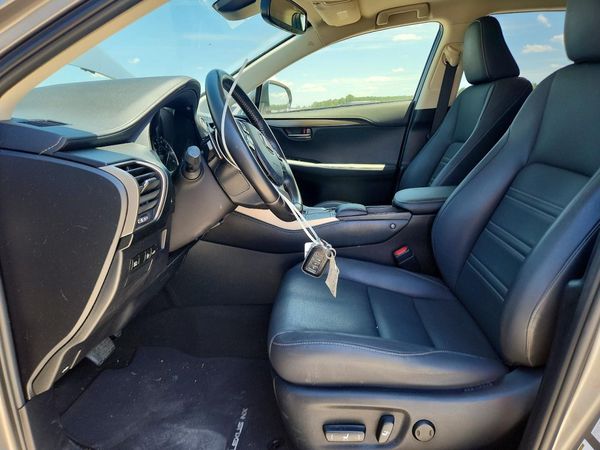 2019 LEXUS NX 300 300 Luxury — DENT