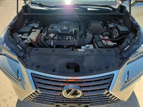 2019 LEXUS NX 300 300 Luxury — Engine bay
