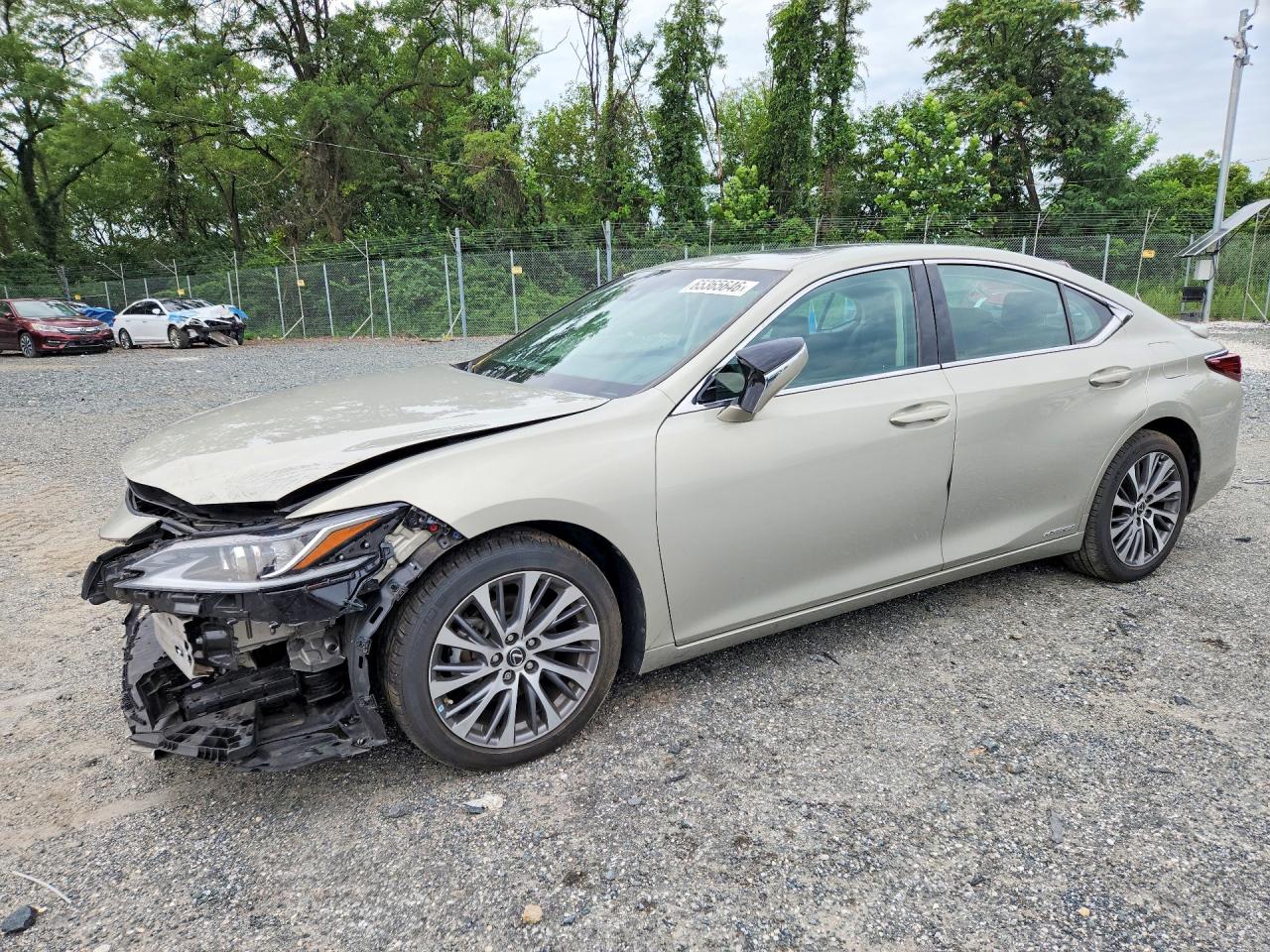 2019 LEXUS ES 300h