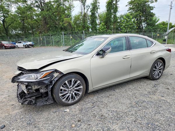 2019 LEXUS ES 300h