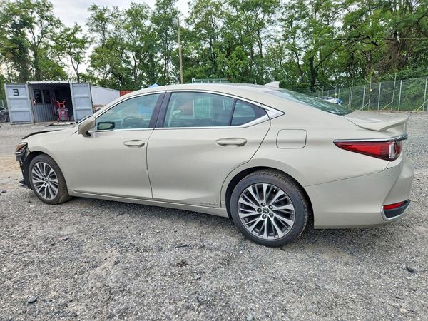 2019 LEXUS ES 300h