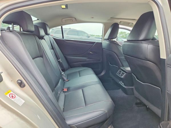 2019 LEXUS ES 300h
