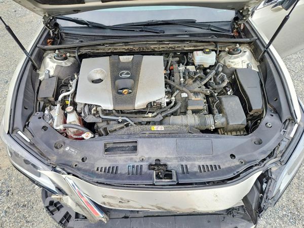 2019 LEXUS ES 300h