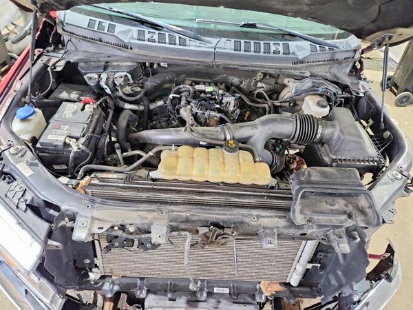 2019 FORD F150