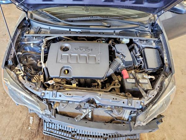 2019 TOYOTA COROLLA L/LE/SE/XLE/XSE