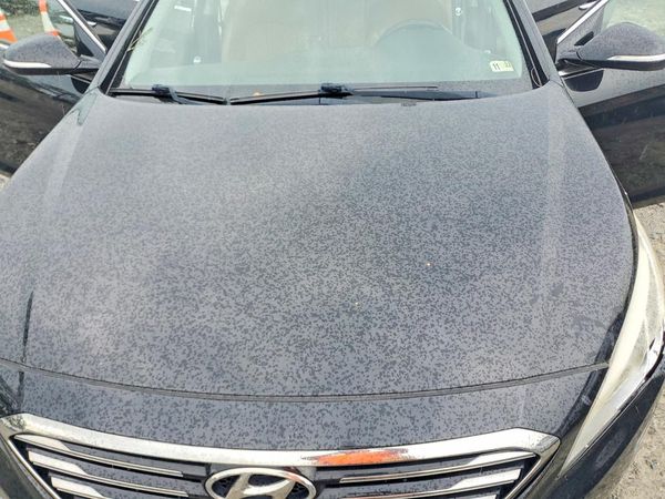 2015 HYUNDAI SONATA
