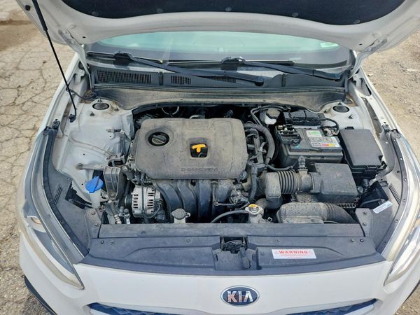 2019 KIA FORTE FE/LX/LXS