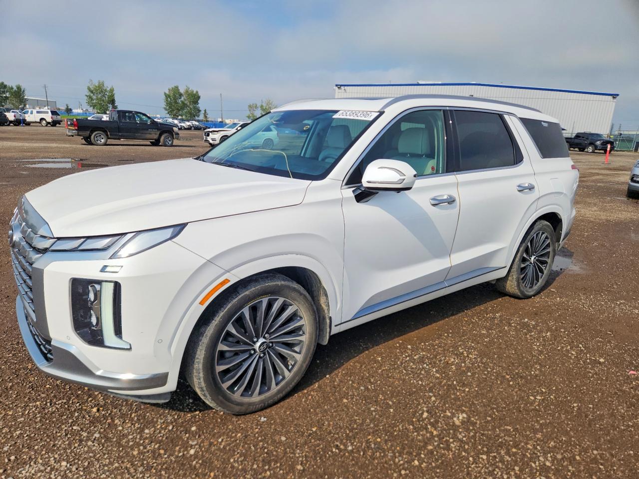 2024 HYUNDAI PALISADE