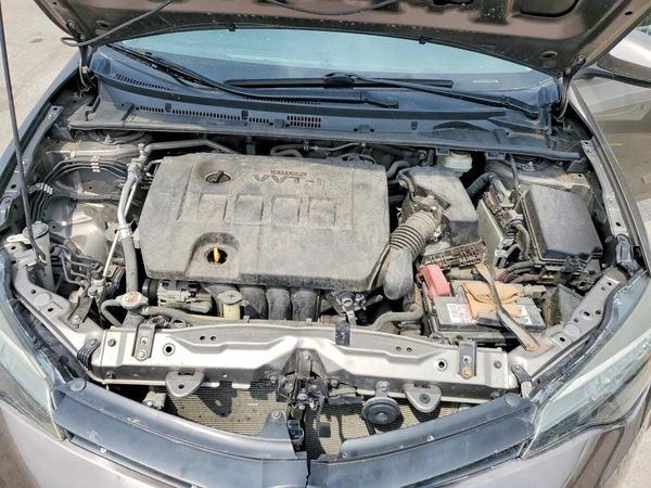 2019 TOYOTA COROLLA L/LE/SE/XLE/XSE