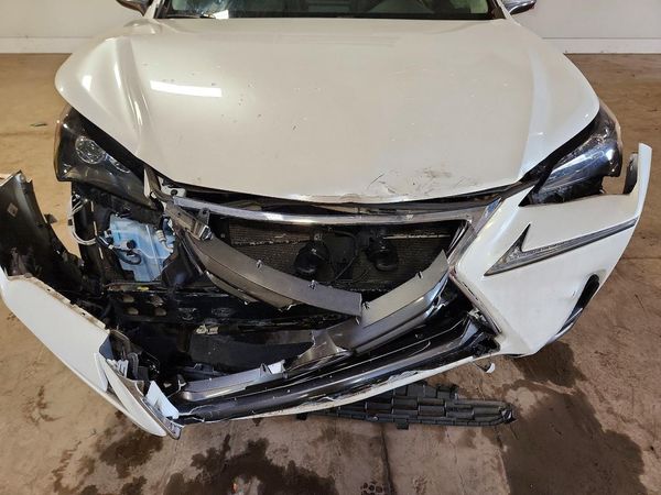 2016 LEXUS NX 300h Luxury