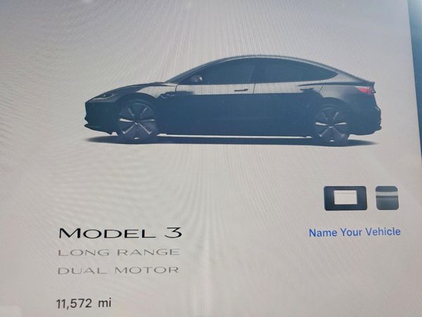 2025 TESLA MODEL 3