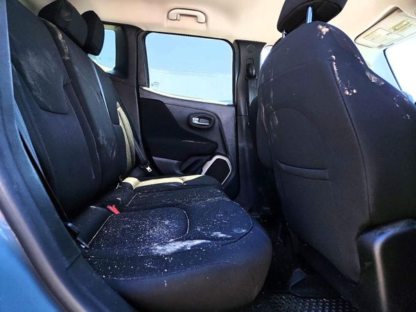 2017 JEEP RENEGADE — PSRS