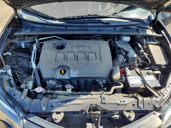 2019 TOYOTA COROLLA