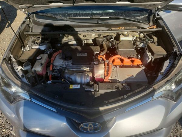 2018 TOYOTA RAV4 LE Plus/XLE