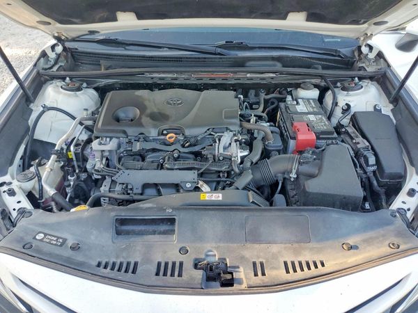 2019 TOYOTA CAMRY L/LE/SE/XLE