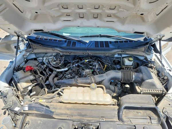 2024 FORD F150