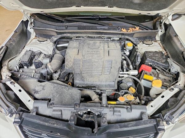 2019 SUBARU FORESTER