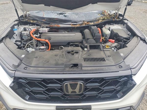 2024 HONDA CR-V Sport