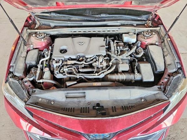 2019 TOYOTA CAMRY SOLA SE/XLE Hybrid