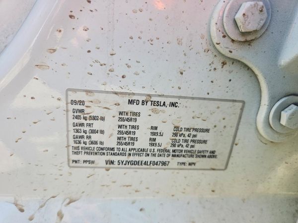 2020 TESLA MODEL Y