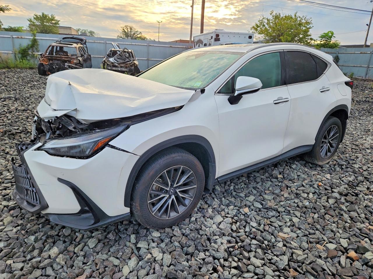 2025 LEXUS NX 350 Base — Front 3/4