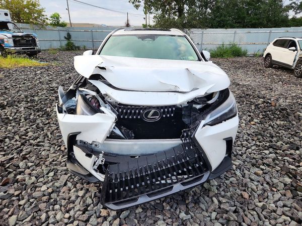 2025 LEXUS NX 350 Base — DIRF