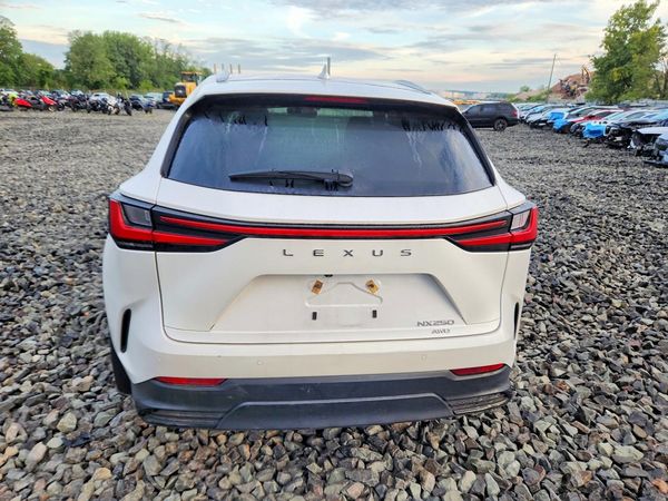 2025 LEXUS NX 350 Base — DIRR