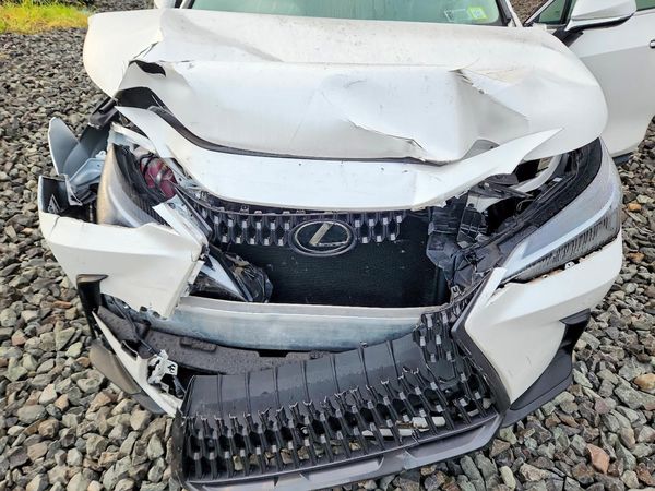 2025 LEXUS NX 350 Base — Engine bay