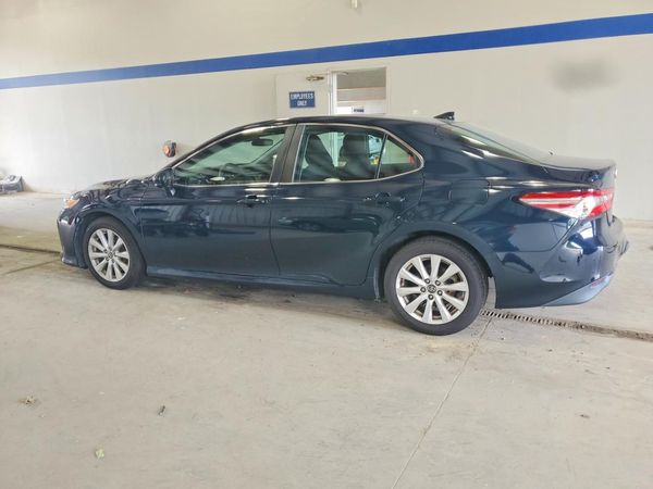 2019 TOYOTA CAMRY L/LE/SE/XLE