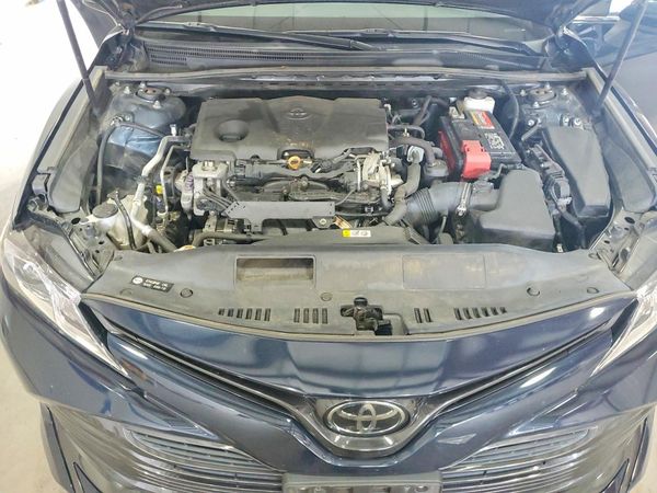 2019 TOYOTA CAMRY L/LE/SE/XLE