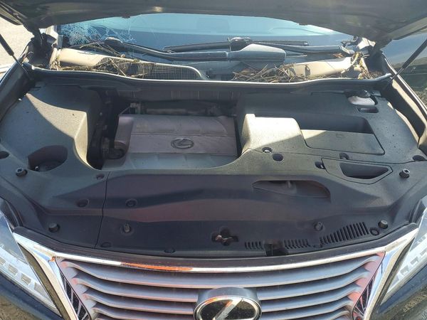 2013 LEXUS RX 350