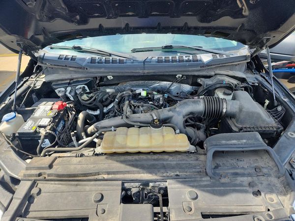 2019 FORD F150