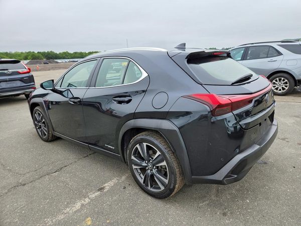 2019 LEXUS UX