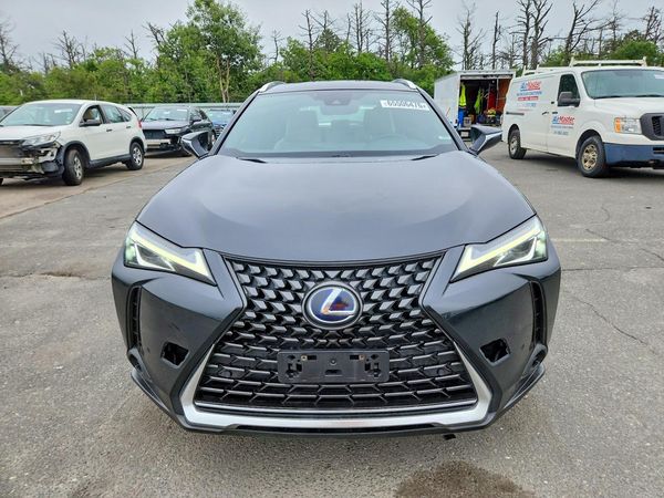 2019 LEXUS UX
