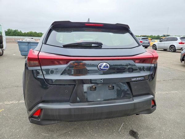 2019 LEXUS UX