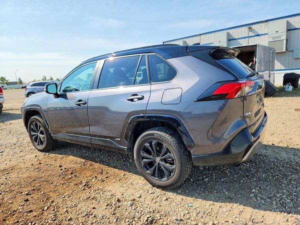 2024 TOYOTA RAV4 XSE
