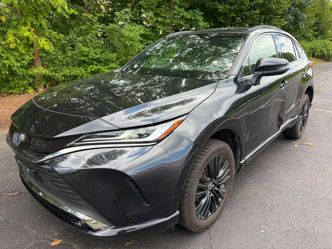 2024 TOYOTA VENZA