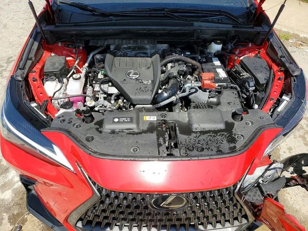 2025 LEXUS NX 350 Premium
