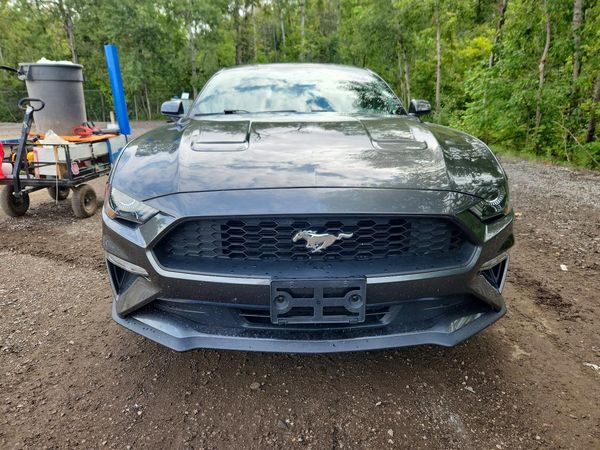 2020 FORD MUSTANG I4 Coupe — DIRF