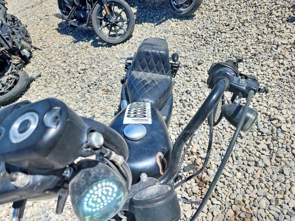 2021 HARLEY-DAVIDSON XL1200