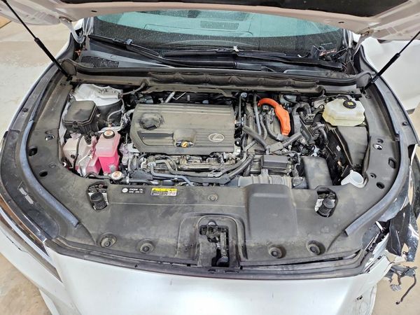 2023 LEXUS RX 350H