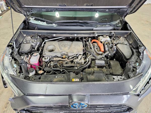 2021 TOYOTA RAV4 XLE Premium HV