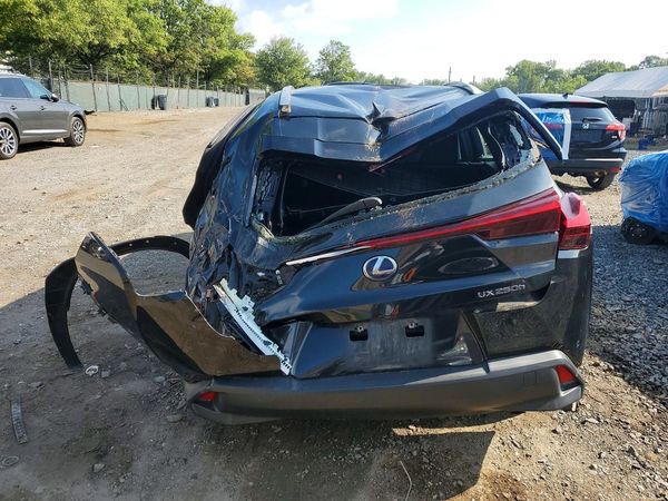 2021 LEXUS UX 250h Premium