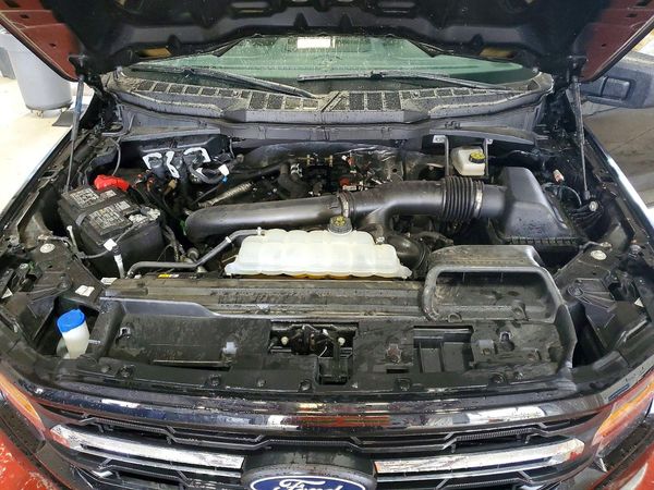 2025 FORD F150 XLT
