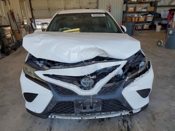 2019 TOYOTA CAMRY L/LE/SE/XLE — DIRF