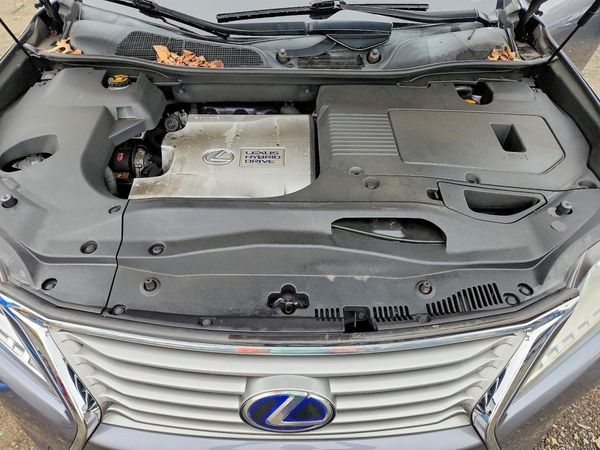 2014 LEXUS RX