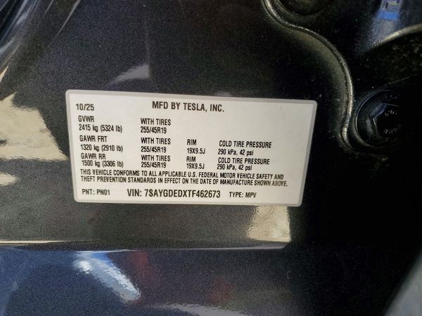 2025 TESLA MODEL Y
