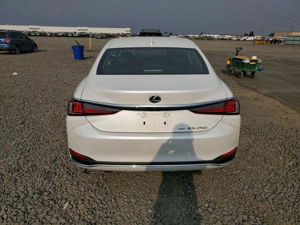 2023 LEXUS ES 250 250 Premium