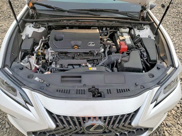 2023 LEXUS ES 250 250 Premium