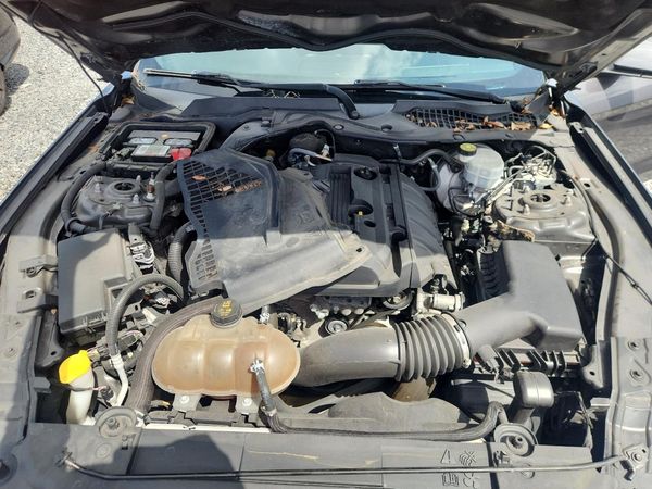2019 FORD MUSTANG — Engine bay